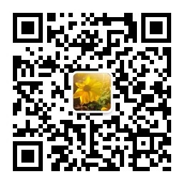 洛阳理工国际交流 洛阳理工国际交流